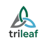Profile picture of Trileaf templates
